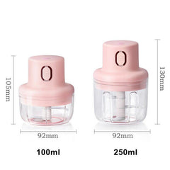 Single Jar Chopper 100 ml + 250 ml Rechargeable and Wireless Double Bowl Chopper Shopcify